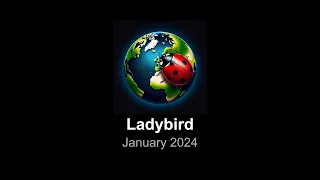 Ladybird browser update (January 2024)