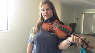 Day 157 - “An Irishman’s Heart To The Ladies” - Patti Kusturok’s 365 Days of Fiddle Tunes