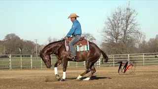 Teach Your Horse to Spin.  Episode 3:  Leg Pressure