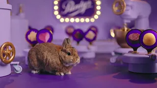 Purdys | Bunny’s Choice Chocolates