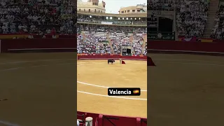 Valencia Corrida🇪🇸
