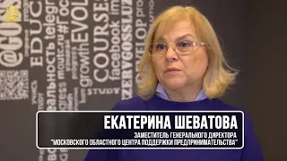 Государственная поддержка малого и среднего предпринимательства