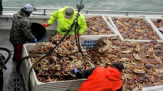 Everyone should watch this Fishermen's video - Commercial Dungeness Crab Fishing in the Deep Sea