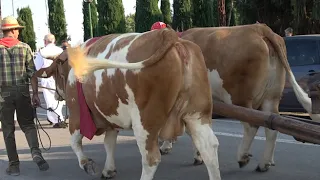 SAGRA DI SAN BIAGIO 2018