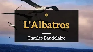 [Lecture poésie] L'Albatros, Charles Baudelaire, Les Fleurs du mal