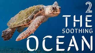 The Soothing Ocean 2  | 1 Hour 4K Underwater Video w Soothing Style for Relaxation or Stress Relief