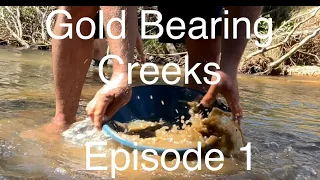 Gold bearing creeks in Victoria Australia #goldprospecting  #gold