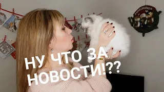 457. ШОКИРУЮЩИЕ НОВОСТИ ИЛИ ТОРТ НА РОЖДЕСТВО. АНГЛИЯ.