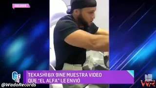 Tekashi 69 le dice "Lambon" Al el Alfa