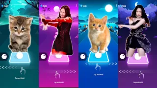 CUTE CAT JISOO FLOWER vs BLACKPINK JISOO FLOWER and CUTE CAT FIFTY FIFTY CUPID and FIFTY FIFTY CUPID