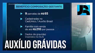 Divulgadas as regras para o pagamento do Auxílio Brasil a mulheres grávidas