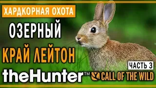 theHunter Call of the Wild #12 🐰 - Озерный Край Лейтон (часть 3) - Максимальная Симуляция Охоты