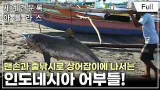 [Full] 세계견문록- 아틀라스 - 아시아동물기행- 생존의 바다, 인도네시아 상어잡이