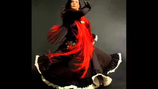 Flamenco belly dance fusion music