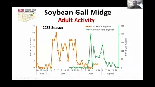 Soybean Gall Midge 2024 Research Updates