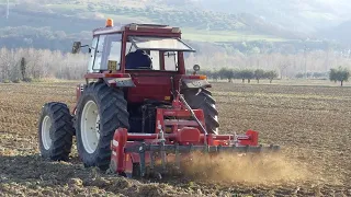 FRESATURA NEI MIEI TERRENI 2019 | FIATAGRI 80-90 DT + Zappatrice MASCHIO C230