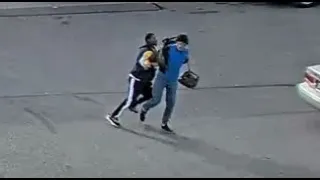 Video: Good Samaritan stops suspected thief from stealing elderly woman's purse