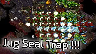 Tibia - Jug Seal Trap