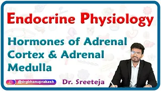 Hormones of Adrenal Cortex and Adrenal medulla : Endocrine physiology USMLE Step 1