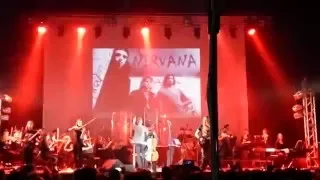 Hardy Orchestra - Nirvana "Smells like teen spirit"