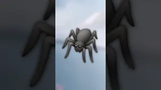 WENN DU DIESE SPINNE SIEHST🕷️ RENN WEG UND HOL HILFE⚠️