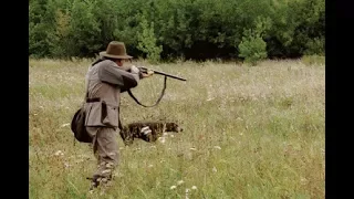 Hunting for partridge with dogs