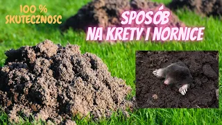 Jak pozbyć się kretów, nornic i innych