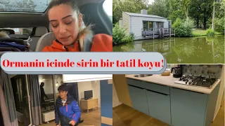 Tatil Evi Turu! Ormanin icinde Dogayla ic ice Yasamak! Yine Tasindik!#hollandadanatesailesi