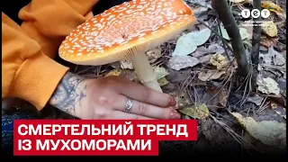 🍄 Українці подуріли! Їдять отруйні мухомори заради відео для соцмереж