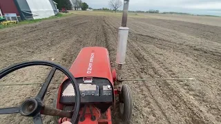 Power King tractor planting sweetcorn