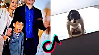 Your Daily dose of TikTok 147