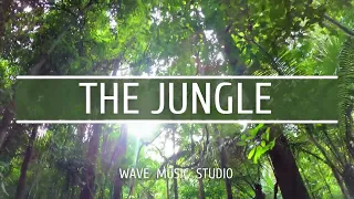 The Jungle [Exciting Ethnic Background /  Documentary Footage Music] - (Royalty Free Music)