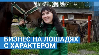 Бизнес на лошадях с характером | NGS.RU