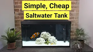 How To Set Up A Saltwater Tank For Beginners (...for £182)