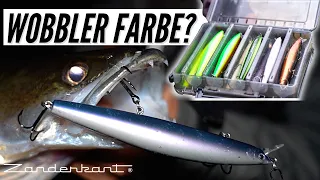 Nachtangeln mit Wobbler.  Welche Farbe fängt? : ZANDER