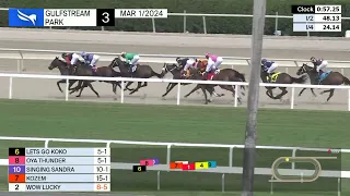 Gulfstream Park Carrera 3 - 1 de Marzo 2024