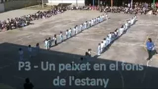 p3  - Un peixet en el fons de l'estany