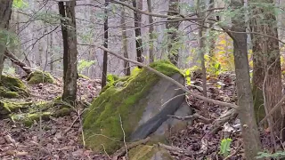 Smoky Mountains, Cades Cove and secret waterfalls