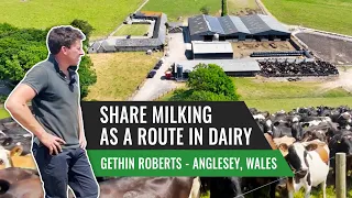 Share Milking as a Route into Dairy: Gethin Roberts - Anglesey, Wales