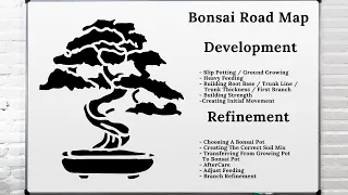 Master the Art of Bonsai with This Simple DIY Tutorial