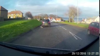 Cat Run Over Bo'ness