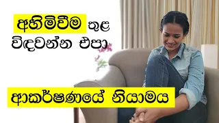 Law of Attraction Sinhala (අලුත් පටන්ගැන්මකට අනිවාර්යෙන් බලන්න)