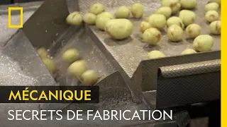 Découvrez le parcours des pommes de terre dans une usine de chips