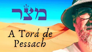 A Torá de Pessach | O que se estuda durante a festa judaica? #pessach #pascoajudaica #torá