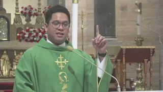 Cathedral Homilies - February 11 (Fr. Viel)