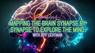 Mapping The Brain Synapse By Synapse To Explore The Mind with Jeff Lichtman