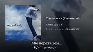 Animal Jazz - Три полоски, Russian lyrics + English  subtitles, Tri poloski, eng sub