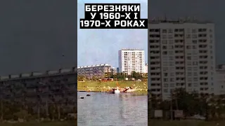 Березняки у 1960-х і 1970-х роках #kyiv #kijów #київ #киев