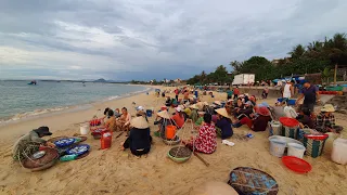 LÀNG CHÀI HỘI SƠN - HÒN YẾN | TIỂU THƯƠNG Chia nhau từng giỏ cá để mang đến chợ bán