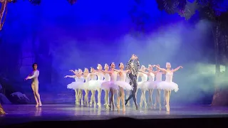 Swan Lake, the final scene March 1, 2024